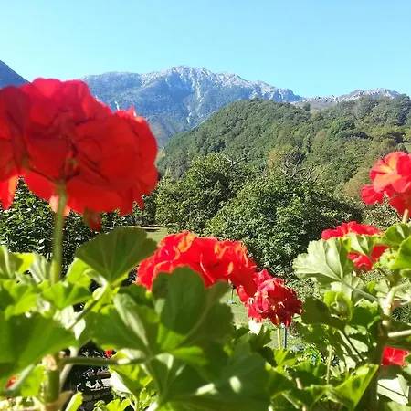 Apartamento En Cabrales Lägenhet *