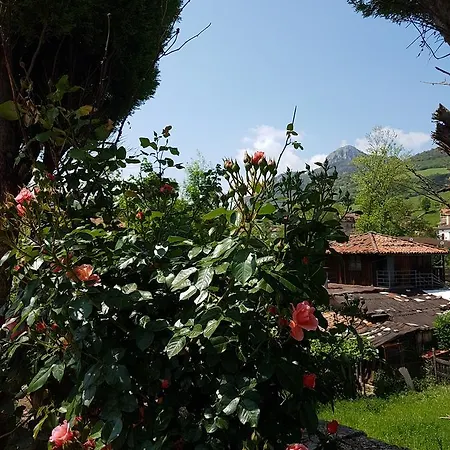 Apartamento En Cabrales Lägenhet Arenas De Cabrales