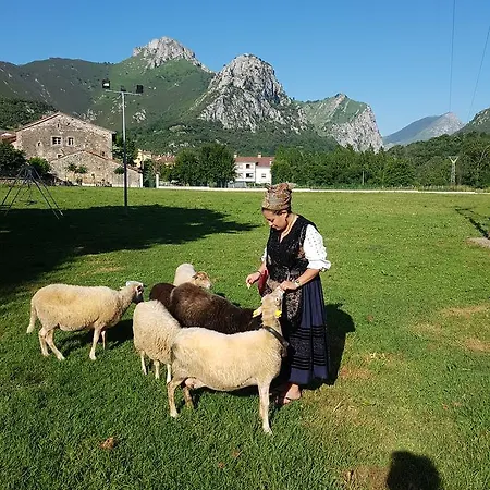 Apartamento En Cabrales *